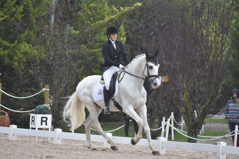 Videos y Fotos del Campeonato Navarro de Doma Cl&aacute;sica y Adaptada